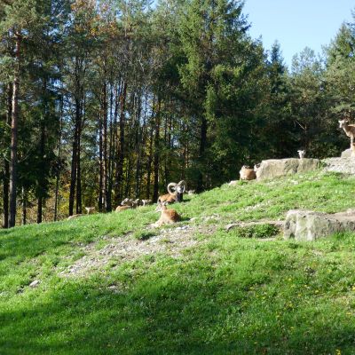 13 Beim Wildpark Bruderhaus 